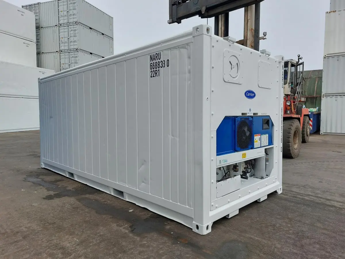 Conteneur frigorifique de 20 pieds